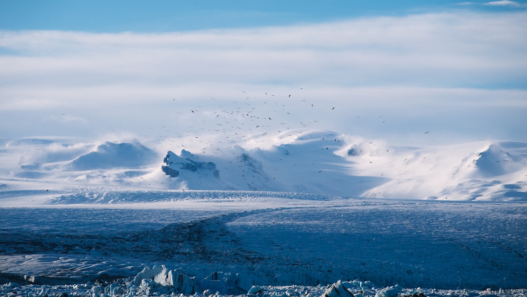 Photo Arctic landscape